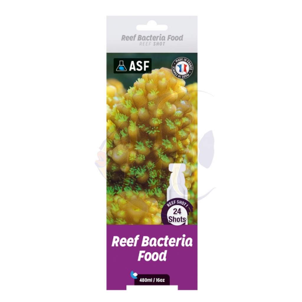 Bacteria Food - 24 x 20 ml